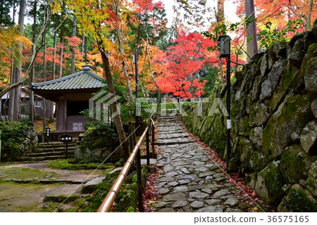 Shiga Prefecture, Koto Misan, Geikorinji Temple Shiga Prefecture, Koto Misan, Geikorinji Temple 36575165