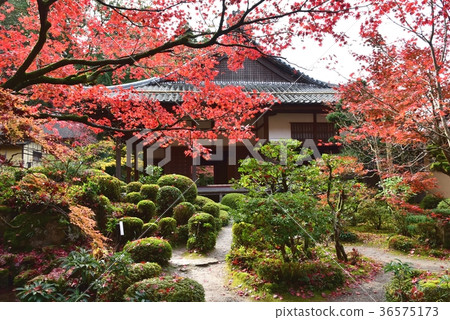Shiga Prefecture, Koto Misan, Geikorinji Temple 36575173