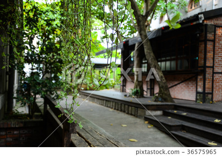 台灣華山,Nisshobo 台灣華山,Nisshobo 36575965