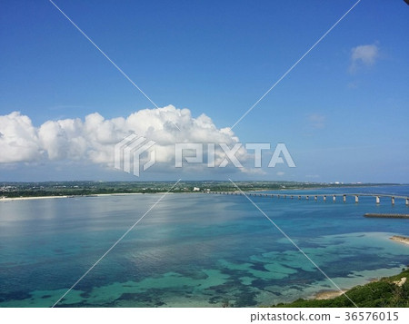 海 大海 海洋 36576015