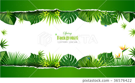 Bright tropical background with jungle plants. Bright tropical background with jungle plants. 36576422