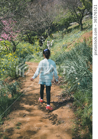 hiking, picnic, spring 36576521