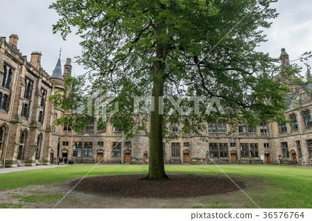 University of Glasgow University of Glasgow 36576764
