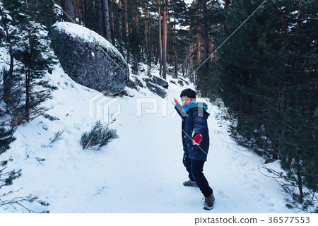 Young boy playing with snowballs 36577553