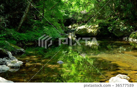 Emerald green in the upper Yoshino River, Kochi Prefecture Emerald green in the upper Yoshino River, Kochi Prefecture 36577589