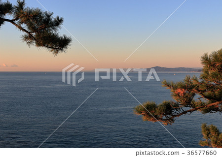 早上土佐灣 36577660