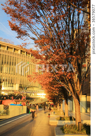 Grand Front Osaka is a complex located  36579077