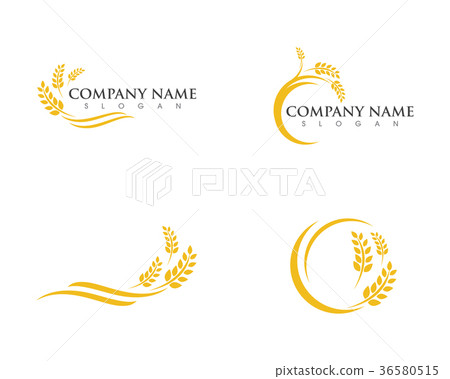 Agriculture wheat Logo Template vector icon design 36580515