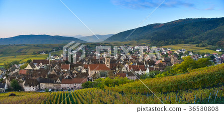 Alsace village, with vineyard, Riquewhir France Alsace village, with vineyard, Riquewhir France 36580808