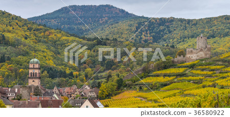 Vineyard and townscape Kaysersberg, Alsace 36580922