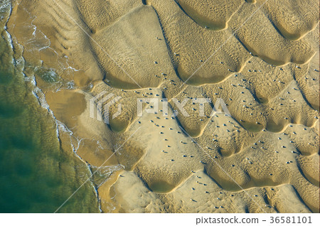 Aerial of sand dunes and birds Arcachon Aerial of sand dunes and birds Arcachon 36581101