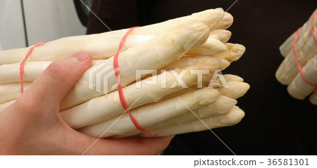 Bunch of white asparagus, Food 36581301