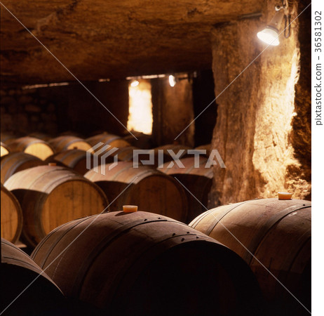 Wine barrels stacked in the old cellar winery. Wine barrels stacked in the old cellar winery. 36581302