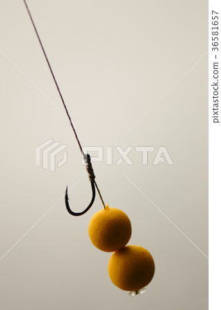 Fishing rig pop up in bait 36581657