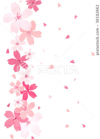 櫻花圖像背景材料1 36582662