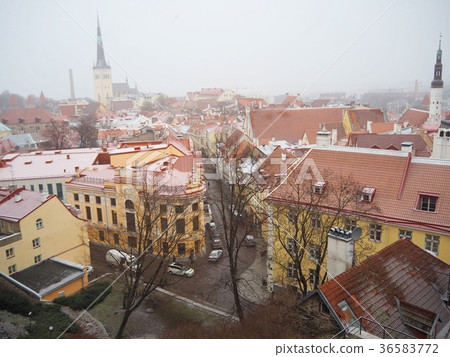 Tallinn Old Town Cityscape Tallinn Old Town Cityscape 36583772