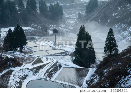新潟縣長岡市Yamakoshi新鮮的雪露台和yoyoike的黎明 新潟縣長岡市Yamakoshi新鮮的雪露台和yoyoike的黎明 36584221