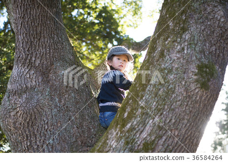 爬樹的女孩 爬樹的女孩 36584264