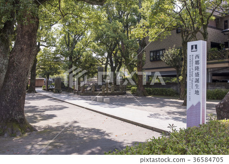 Saigo Takamori The birthplace of Saikyo Don Kagoshima sightseeing Stage of Taiga drama 36584705