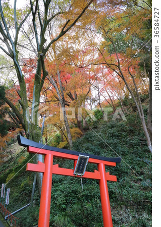 Daisho Fudo Akira King Torii Daisho Fudo Akira King Torii 36584727