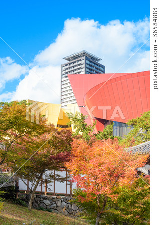 秋河北九州[福岡縣北九州市] 36584883