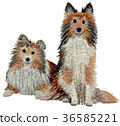 Illustration of a hand embroidered dog 36585221