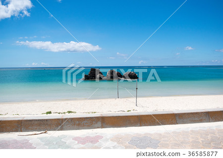 沙灘排球 36585877