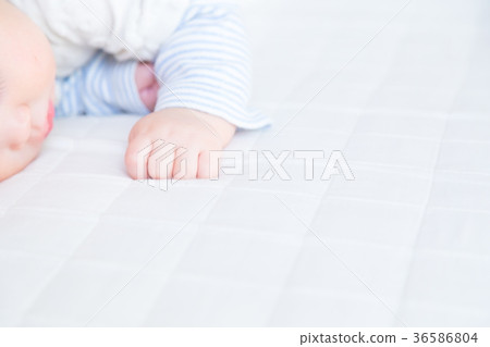 Baby, baby, baby, baby, baby, child, person, Japanese Baby, baby, baby, baby, baby, child, person, Japanese 36586804