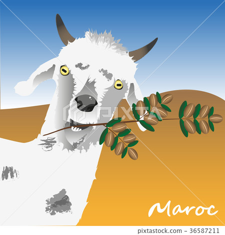 The goat is holding a branch of an argan tree with The goat is holding a branch of an argan tree with 36587211