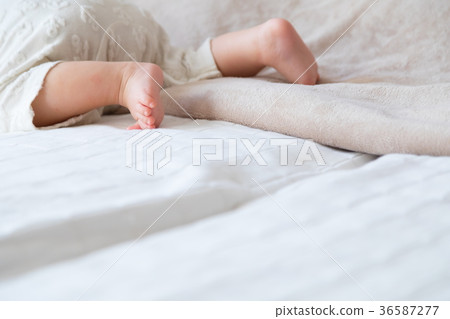 Baby, baby, baby, baby, baby, child, person, Japanese 36587277