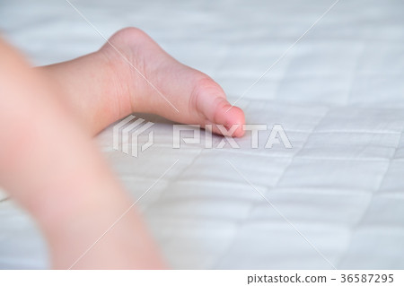 Baby, baby, baby, baby, baby, child, person, Japanese Baby, baby, baby, baby, baby, child, person, Japanese 36587295
