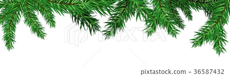 Green Christmas Tree Fir Branches Isolated On 36587432