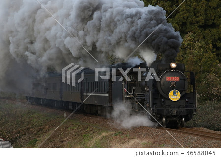 SL Yamaguchi (D51 Degoichi Tow) SL Yamaguchi (D51 Degoichi Tow) 36588045