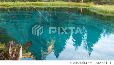 Amazing blue geyser lake in the mountains of Altai 36588101