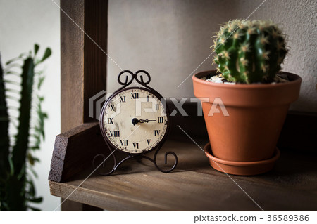 Retro-watches. On the shelf with a cactus in a pot 36589386