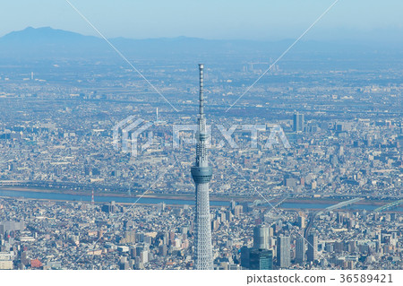 東京Skytree空中照片 東京Skytree空中照片 36589421