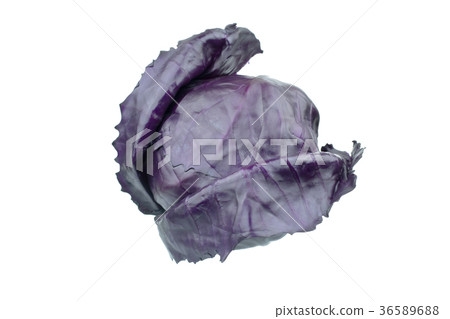 Purple cabbage isolated on white background Purple cabbage isolated on white background 36589688
