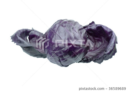 Purple cabbage isolated on white background Purple cabbage isolated on white background 36589689