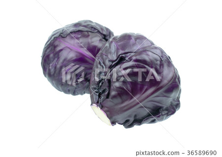 Purple cabbage isolated on white background Purple cabbage isolated on white background 36589690