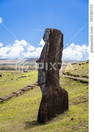 Moana statue of Lanoralak 36590255
