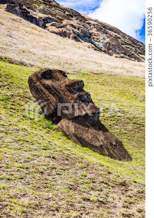 Moana statue of Lanoralak 36590256