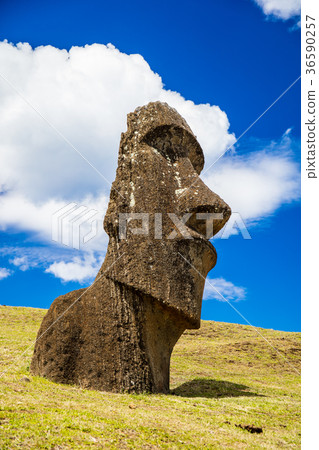 Moana statue of Lanoralak 36590257