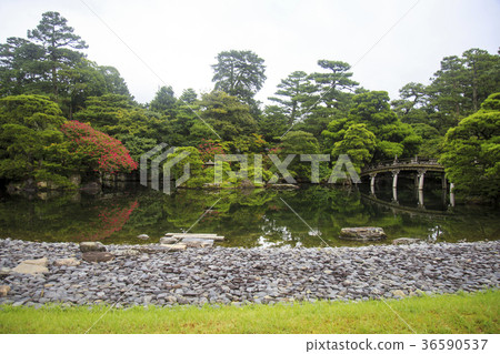 日式庭園 日式庭園 36590537