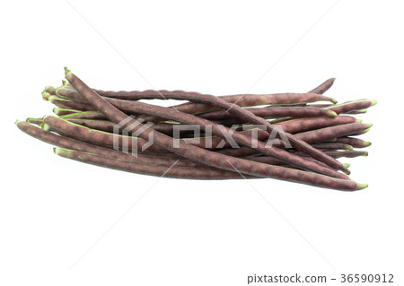 purple yardlong bean isolated on white background 36590912