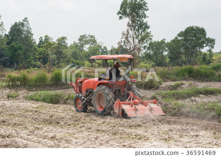 Thai farmers are using a tractor to prepare  36591469