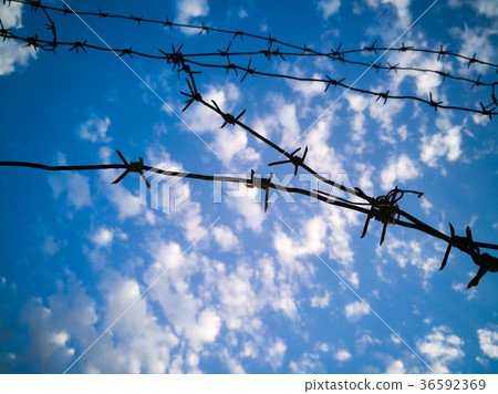 Barbed wire against the sky with clouds 36592369
