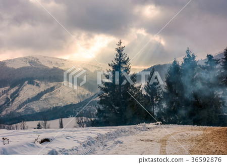 stormy weather over forest in mountains stormy weather over forest in mountains 36592876