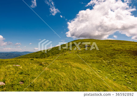 hill side meadow in summer hill side meadow in summer 36592892