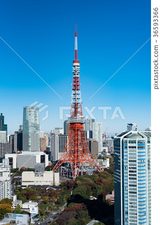 東京塔和都市風景 東京塔和都市風景 36593366