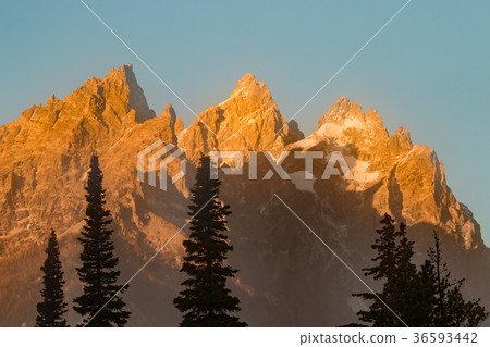 Sunrise on the Tetons 36593442